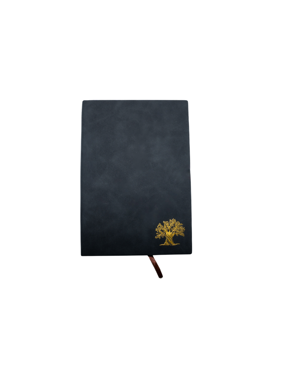 Renew Journal