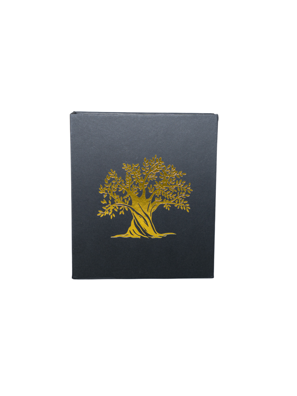 Renew "MEN" Discovery Box